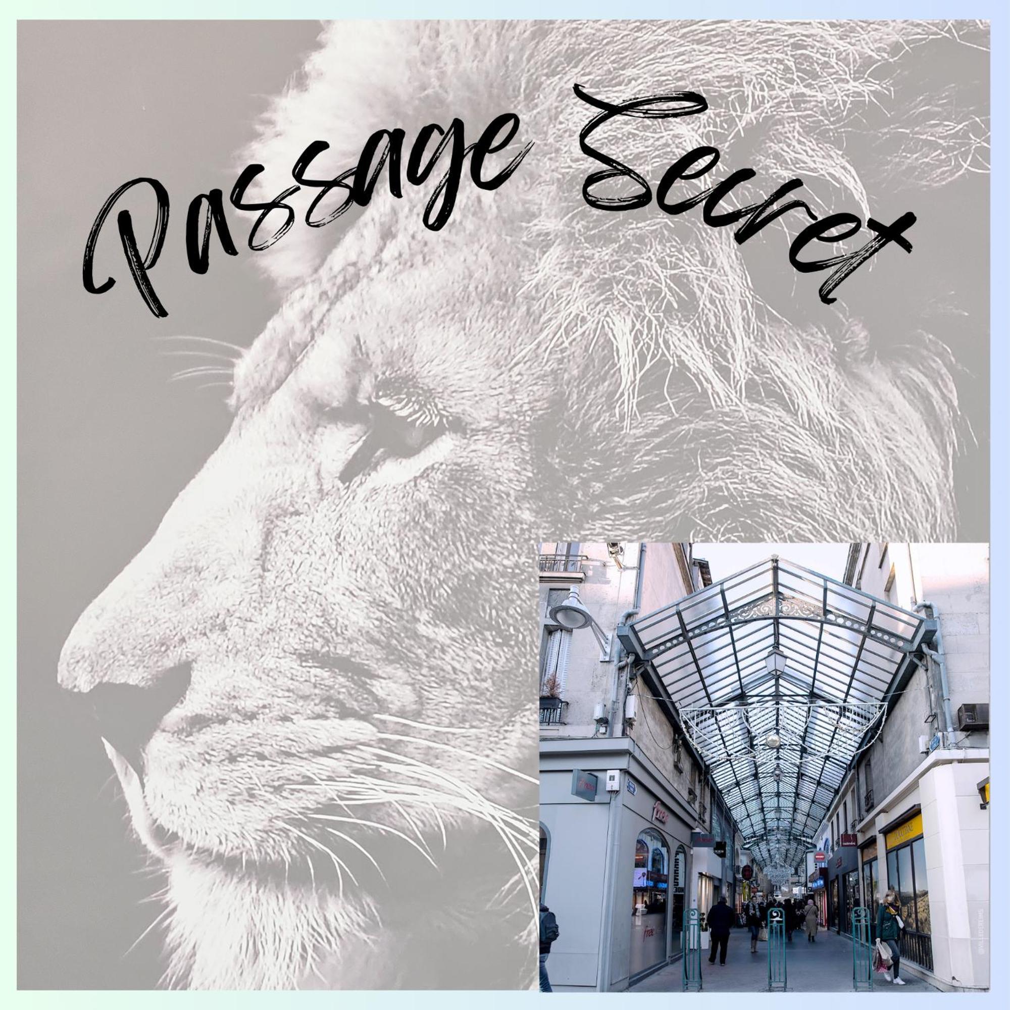 Passage Secret - Ideal Pro, Couples, Familles & Amis - Le Calme En Hypercentre - Wifi Haut Debit - Netflix - Machine A Laver - Gare, Cathedrale, Commerces, Restaurants & Transports En Commun A Moins De 10 Minutes A Pied 랭스 외부 사진